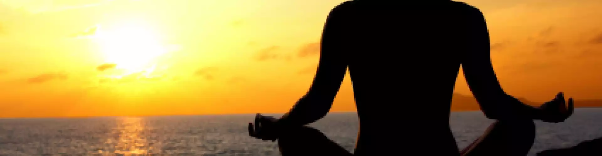 Meditation - INTRO - The Best Friend You Will Ever Have - Online Class by Ed and Deb Shapiro