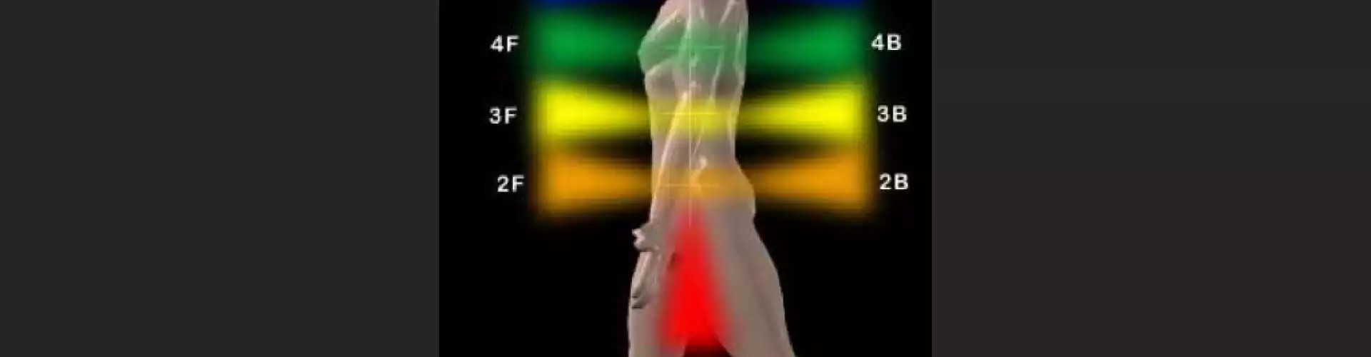 The Basics of the Chakras