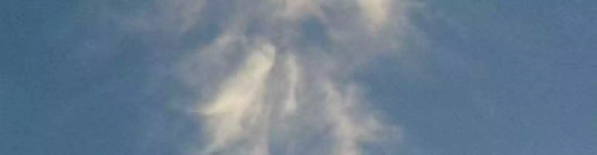 Learning About Your Angels - Online Class by Bonnie K.  Dysinger M.Sc., CPEH, CHHP, C.Ht.