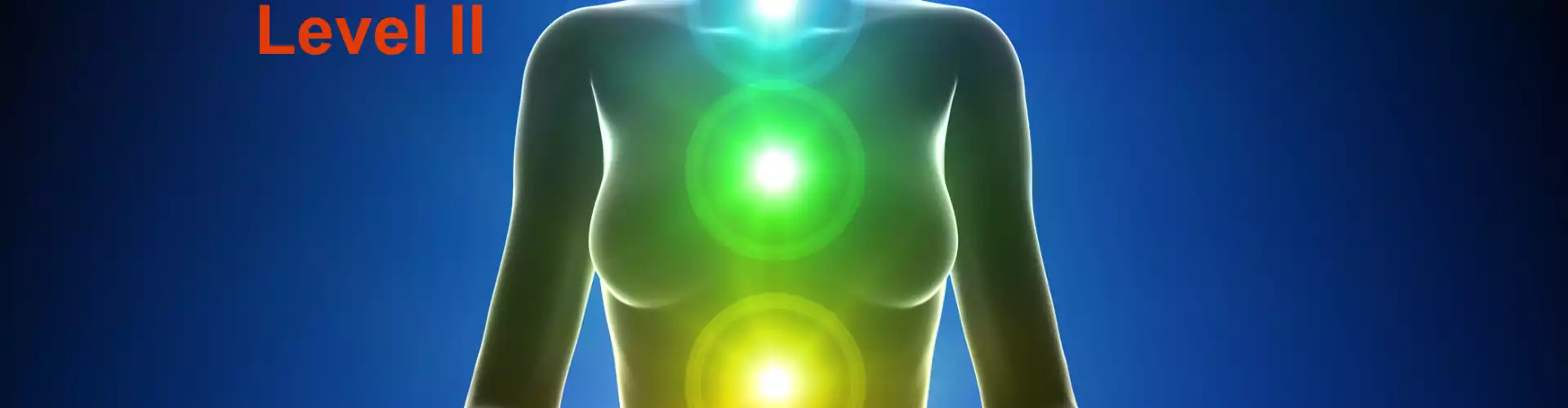 Understanding Your Energetic System - The Chakras & Outer Bodies as a system - Online Class by Cindy Griffith