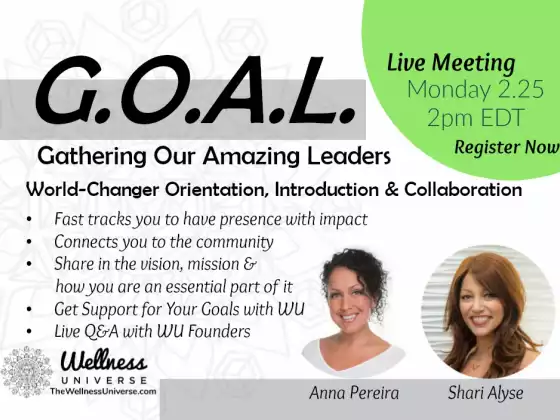 G.O.A.L Meeting / Meet the Founders Feb 25