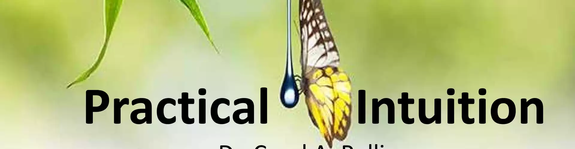 Practical Intuition: A 5 Step Process You Can Use Every Day! - Online Class by Dr. Carol Pollio