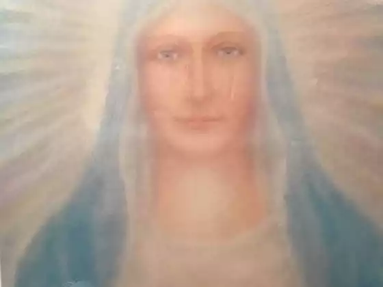 Complimentary Mother Mary Connection Experience