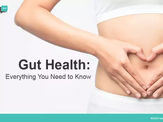 How to Cultivate a Healthy Gut to Optimize Immune Health and Wellness