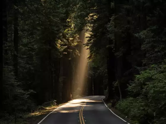 Spiritual Integration and Belonging