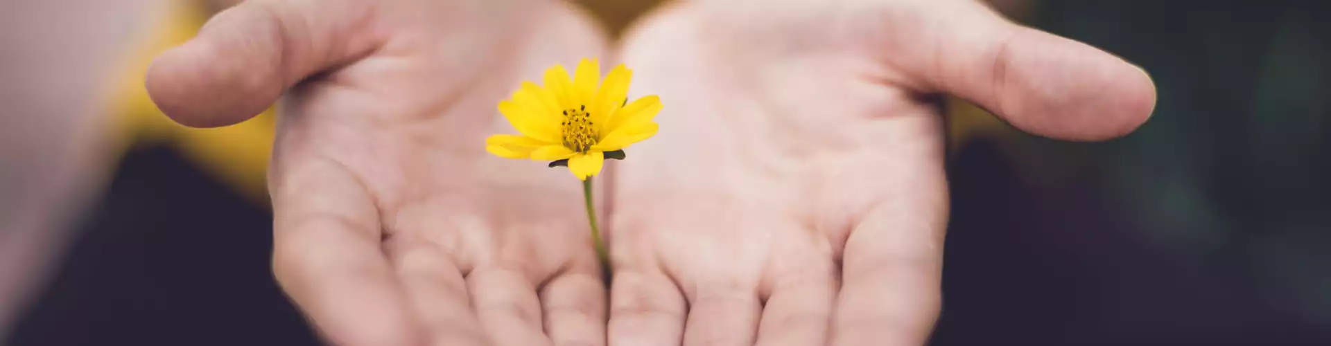 Pleine conscience : accédez à votre intuition