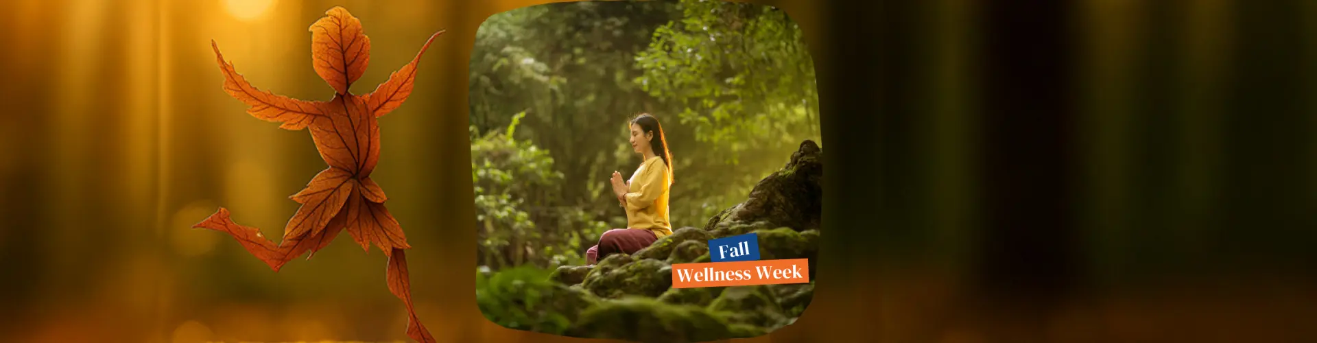 Sonbaharın Kucaklaşması: Sonbahar Ekinoksu Reiki Meditasyonu - Online Class by Jerry Mikutis
